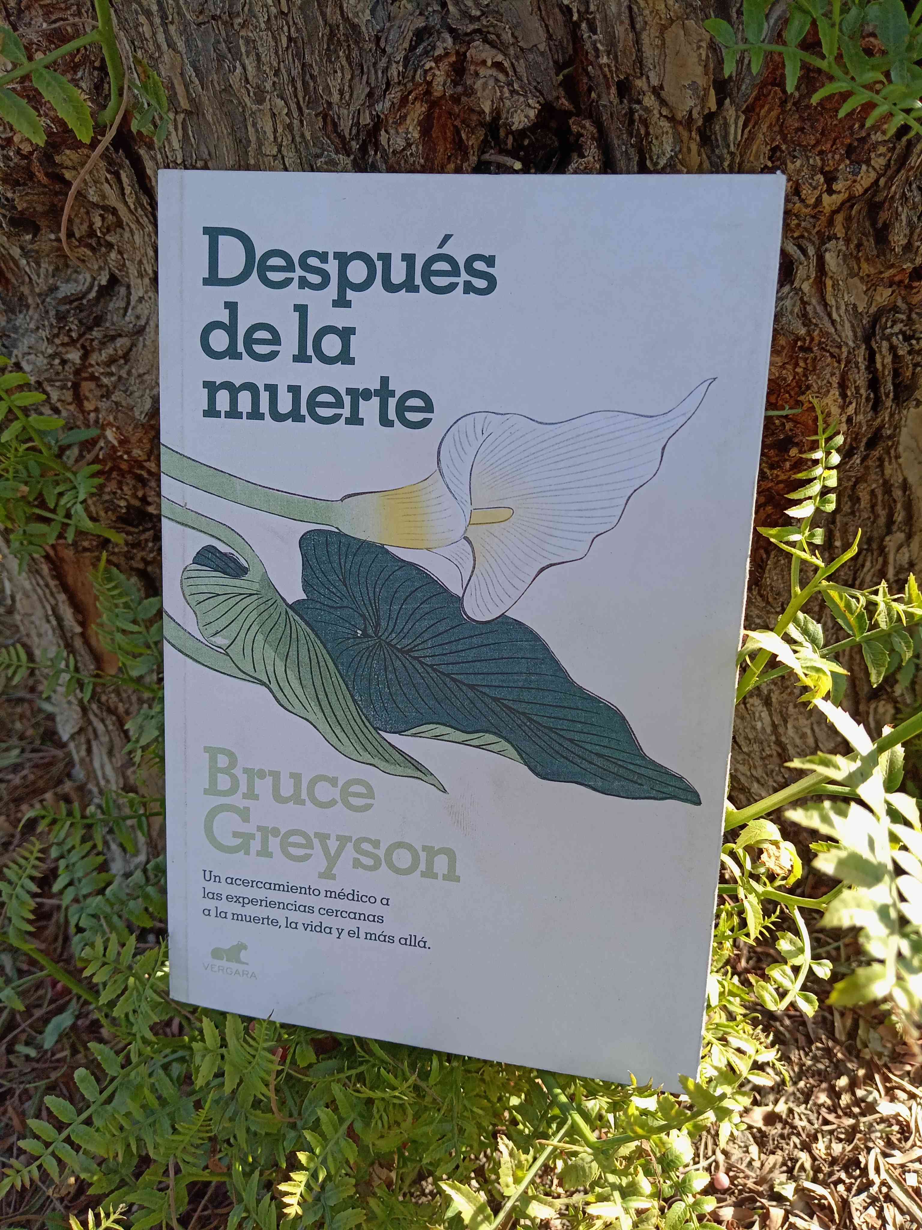 Después de la muerte / Bruce Greyson