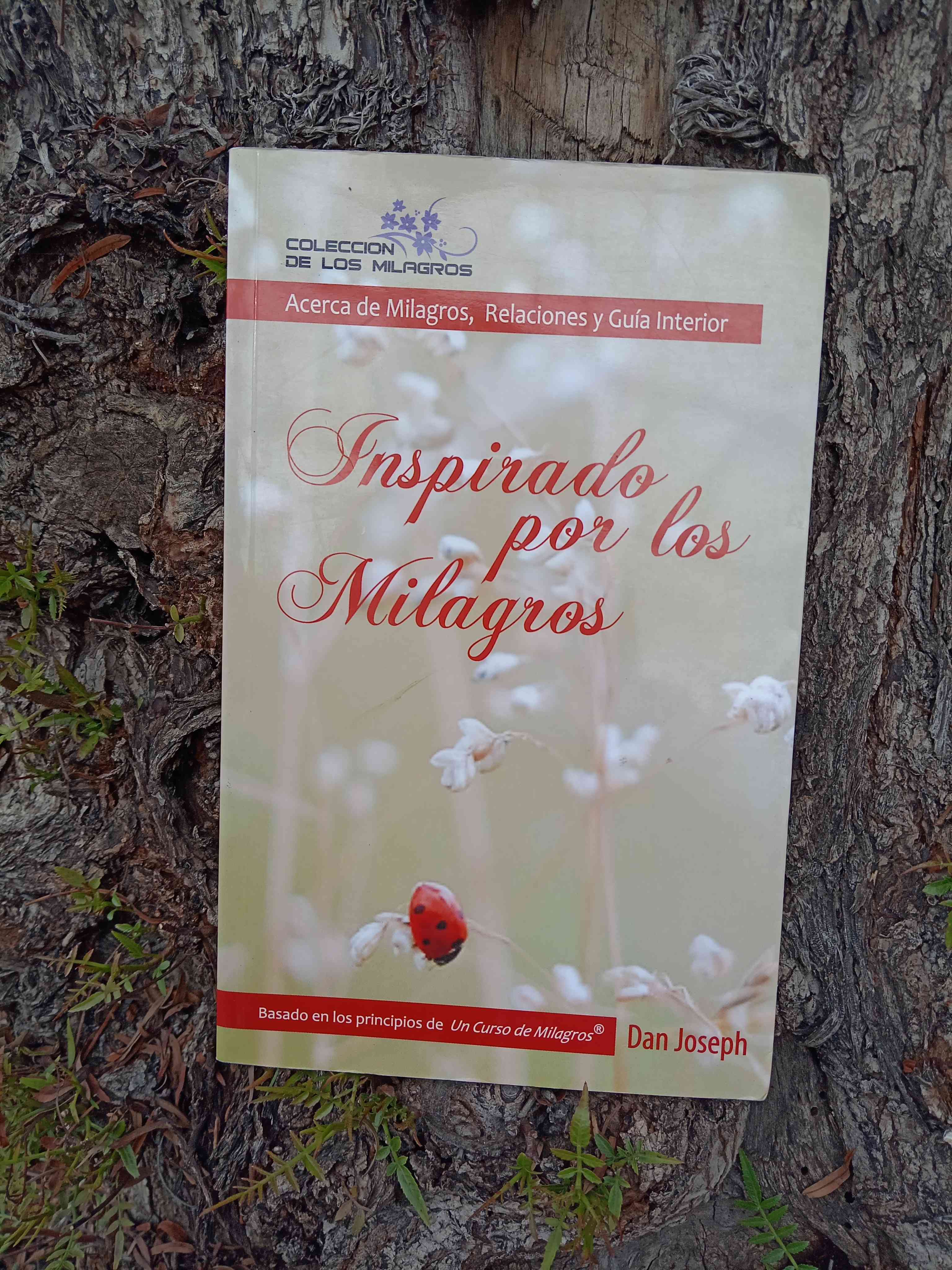 Inspirado por los milagros